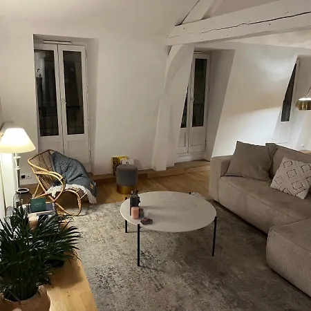 アパート Beau Duplex Centre Historique De ディジョン