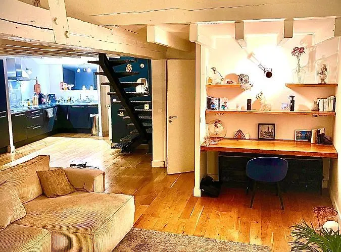 アパート Beau Duplex Centre Historique De ディジョン