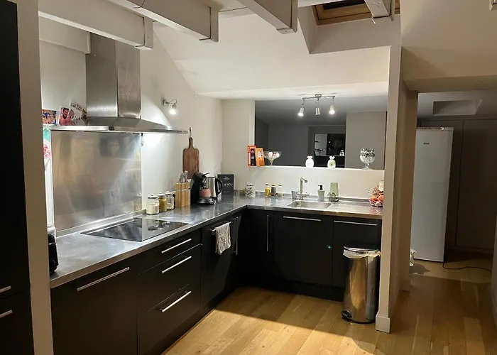 Beau Duplex Centre Historique De Apartment Dijon