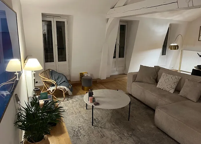 アパート Beau Duplex Centre Historique De ディジョン